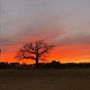 Meet your Posher, Gaye